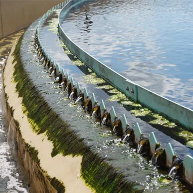 Waste Water Treatment Plants